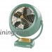 Vornado VFAN Vintage Air Circulator Fan  Green - B0002XYG9G